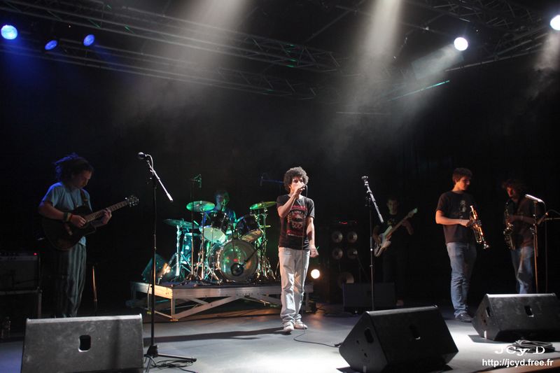 S JCyD 034483-Lynch the Elephant
